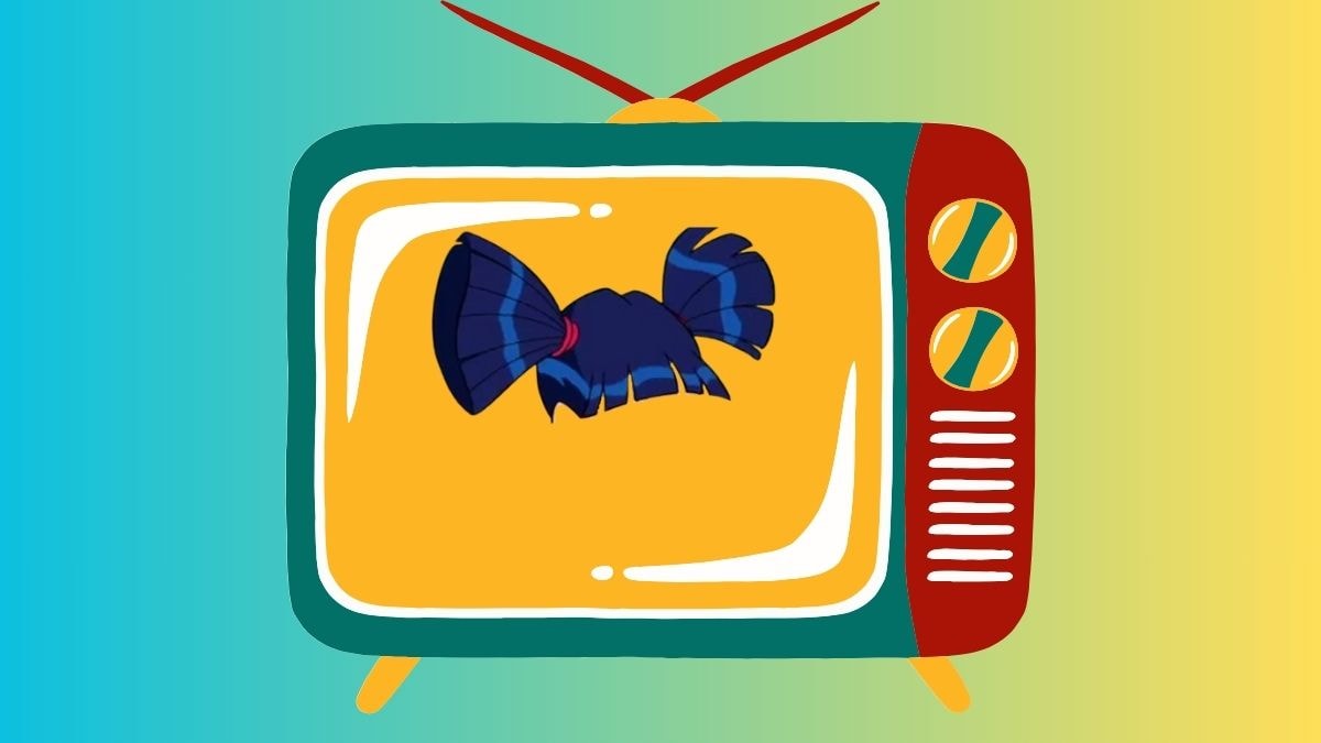 © Rai 2 / Canva