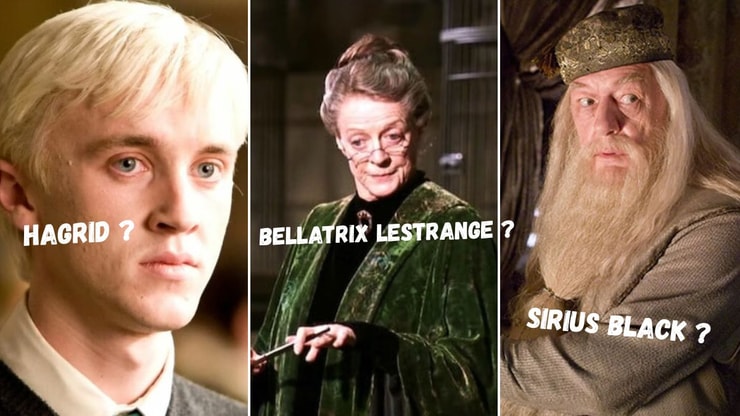 Quiz : tu n'as jamais vu Harry Potter (la honte) si tu ne relies pas ces 10 personnages à leur nom