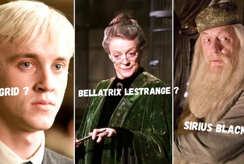Quiz : tu n’as jamais vu Harry Potter (la honte) si tu ne relies pas ces 10 personnages à leur nom