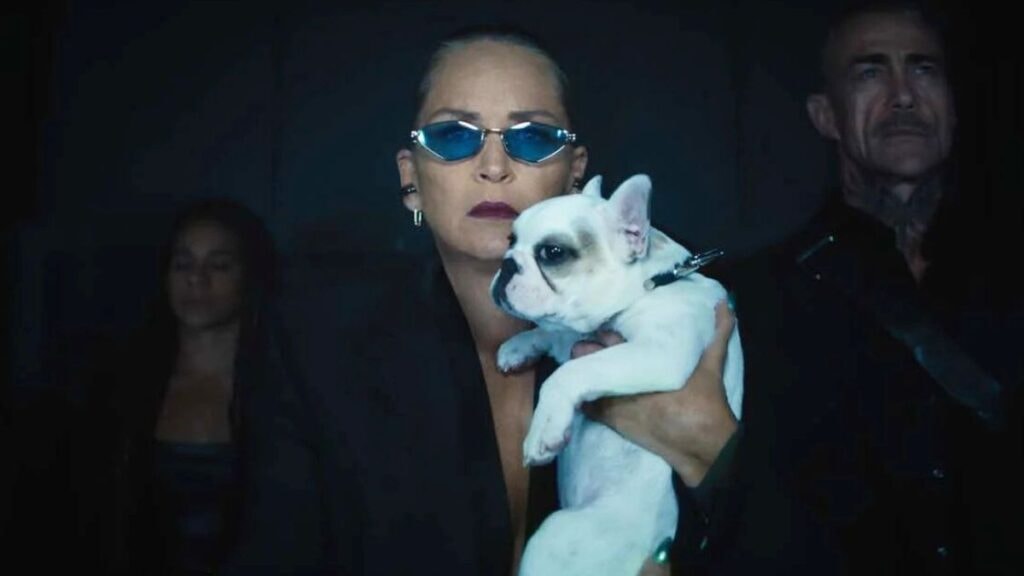 Sharon Stone dans le film Nobody 2