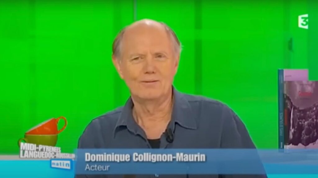 Dominique Collignon-Maurin dans Midi-Pyrénées Languedoc-Roussillon Matin en 2015 sur France 3.