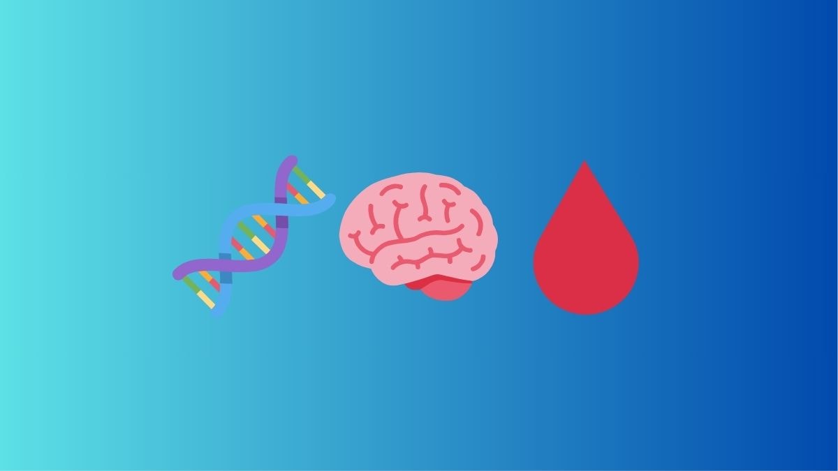 © Canva