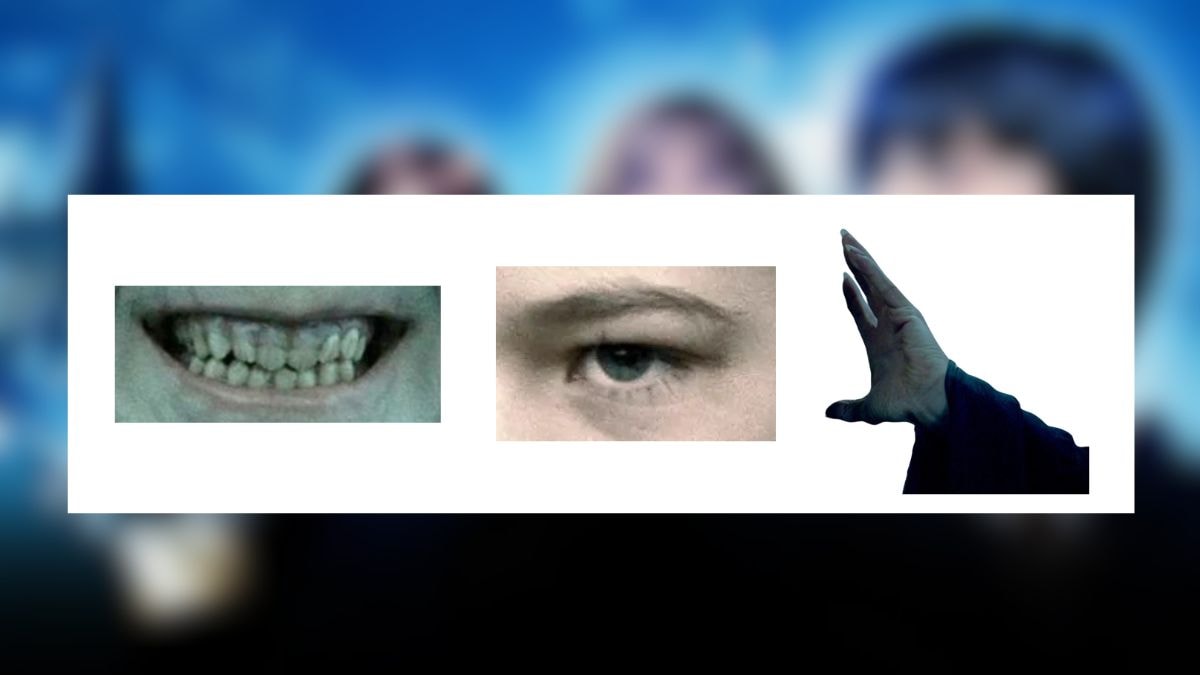 © Canva / © Warner Bros.