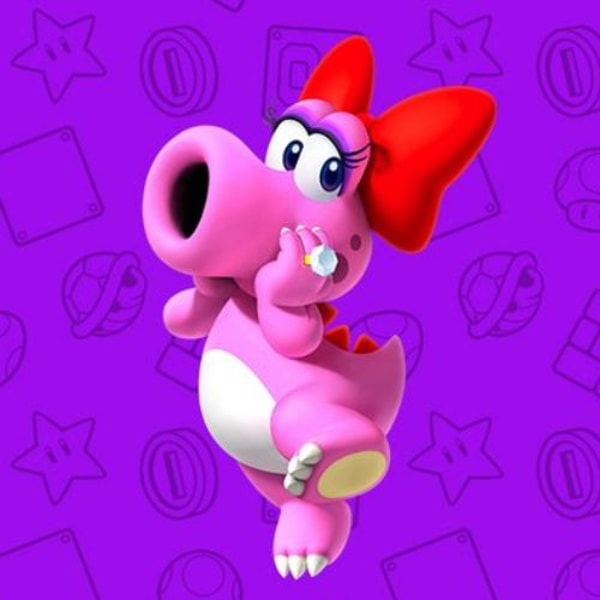 birdo-galerie