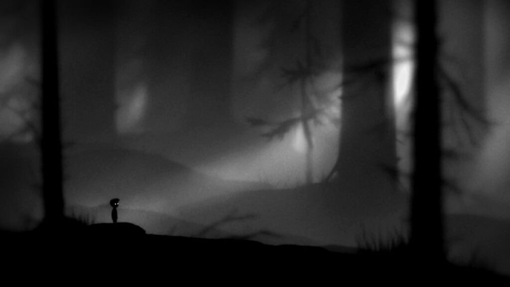 Le garçon sans nom dans la foret sombre de Limbo