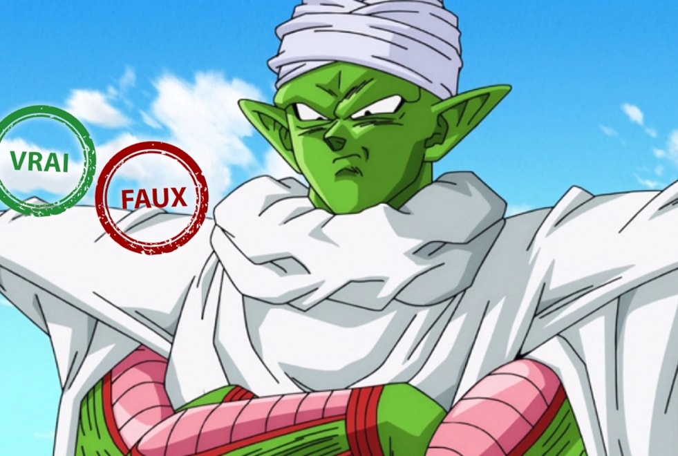 Dragon Ball est l’anime de ton enfance si tu as 10/10 à ce quiz vrai ou faux sur Piccolo
