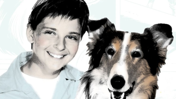 Lassie : mort de l'actrice June Lockhart à l'âge de 100 ans