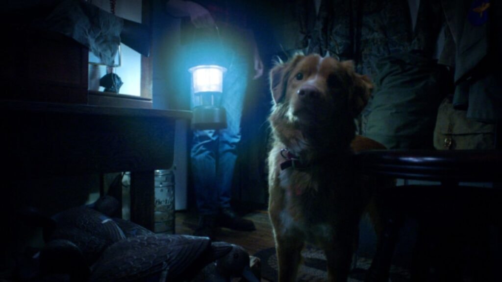 indy dans le film good boy