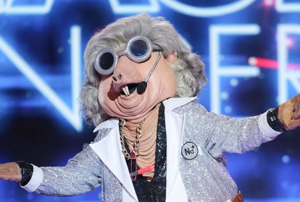 Mask Singer : on a trouvé qui se cache sous le costume de la Taupe !