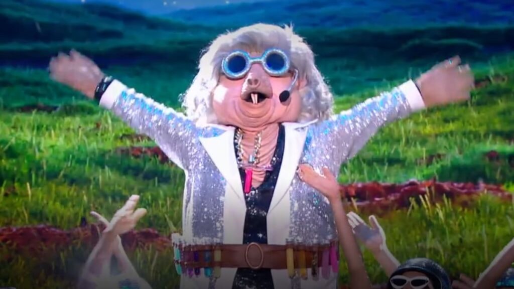 La Taupe dans Mask Singer