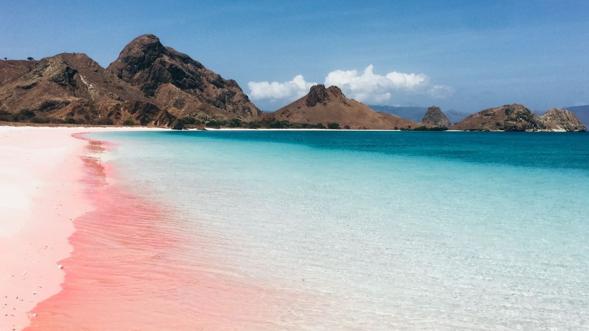 Une plage de sable rose