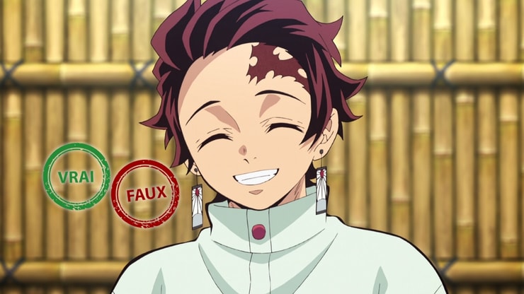 Demon Slayer : tu fais honte aux pourfendeurs si tu n'as pas 10/10 à ce quiz vrai ou faux sur Tanjiro