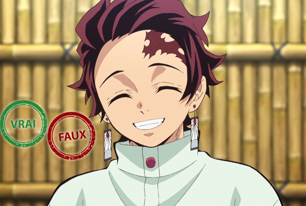 Demon Slayer : tu fais honte aux pourfendeurs si tu n’as pas 10/10 à ce quiz vrai ou faux sur Tanjiro