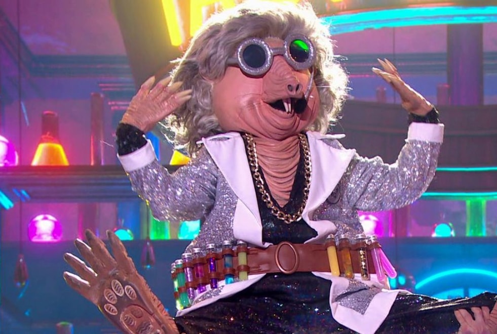 Sondage Mask Singer : qui est sous le costume de la Taupe selon toi ?