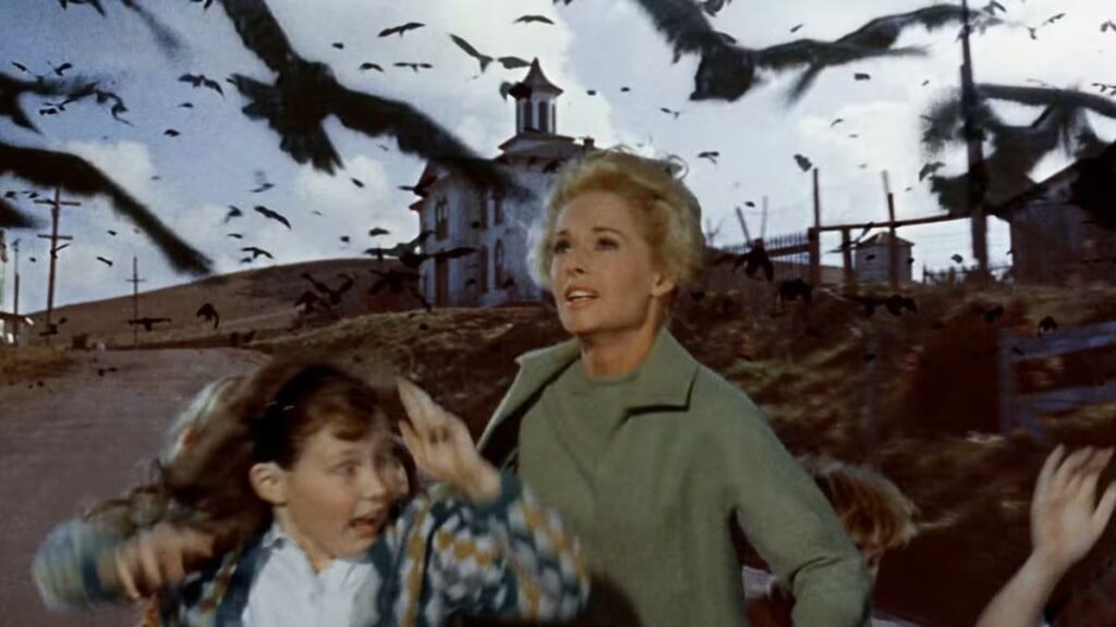 Tippi Hedren dans Les Oiseaux de Hitchcock