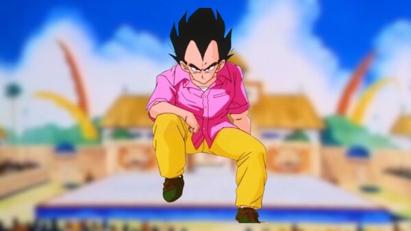 vegeta-solution