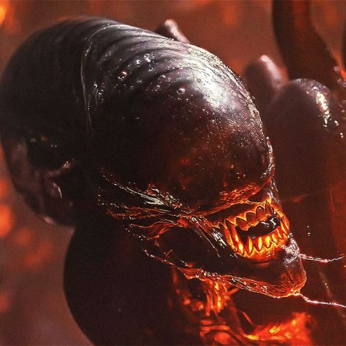 Le Xénomorphe (Alien)