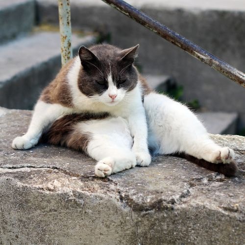 Ne changerai absolument rien