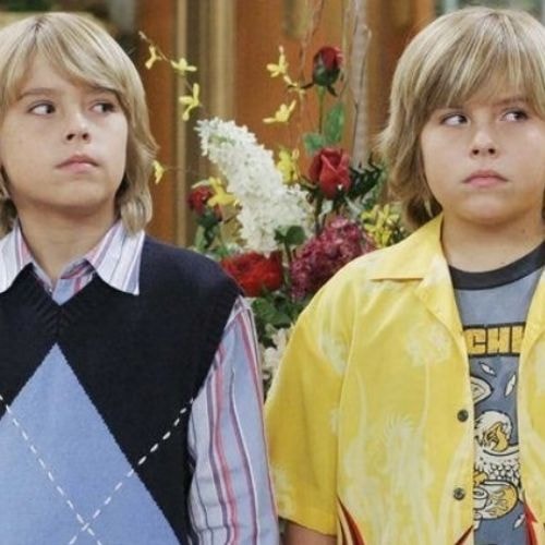 La vie de palace de Zack et Cody