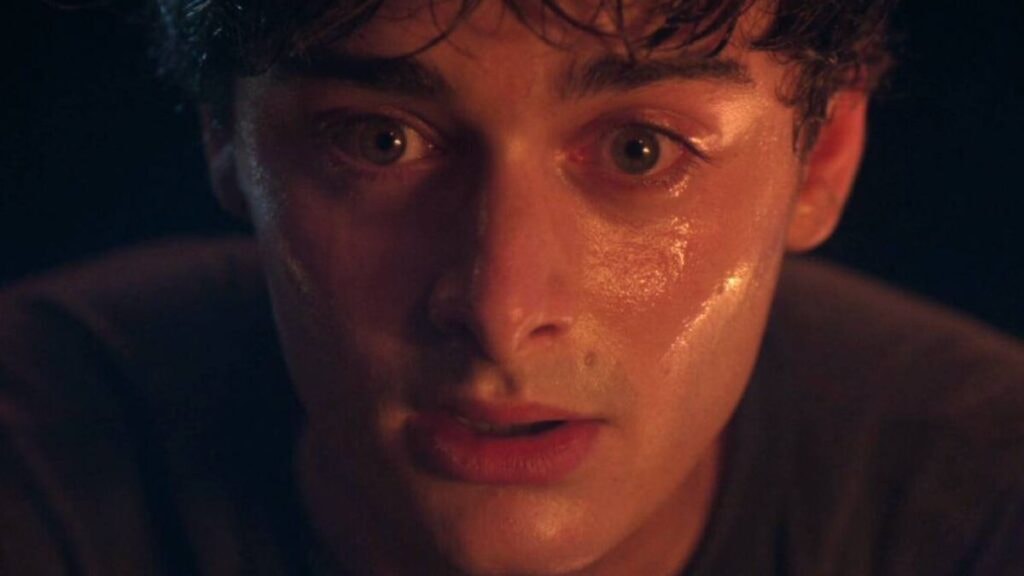 will dans stranger things netflix