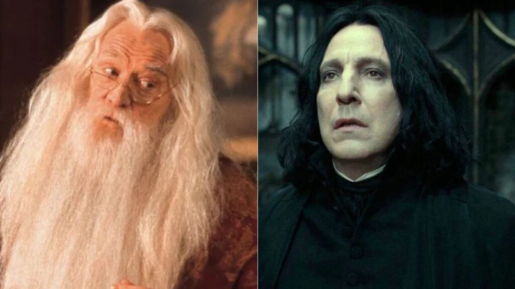Dumbledore et Rogue