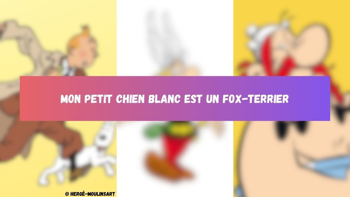 © Hergé-Moulinsart / © Gaumont International / © Canva