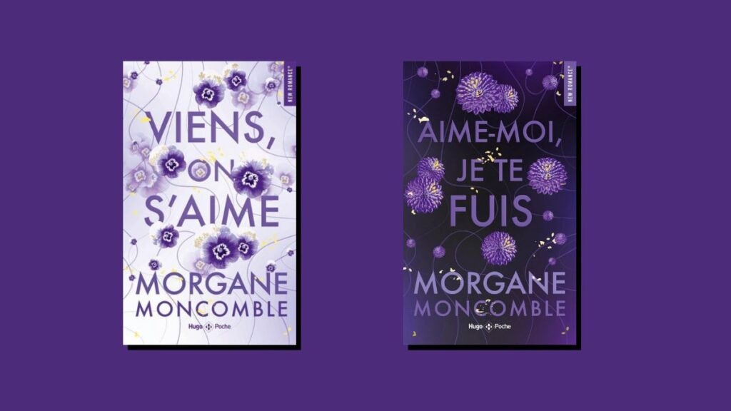 les livres de la série never de morgane moncomble