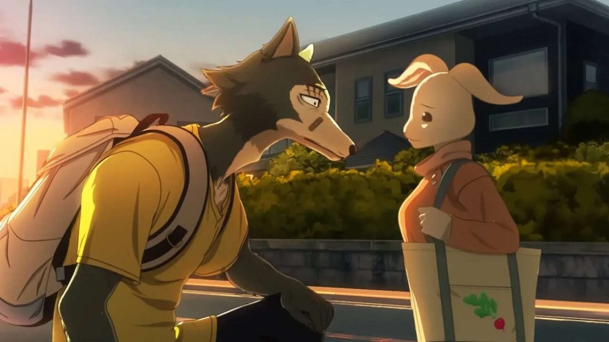 Legoshi et Haru, inquiets l'un pour l'autre dans l'anime de Netflix, Beastars