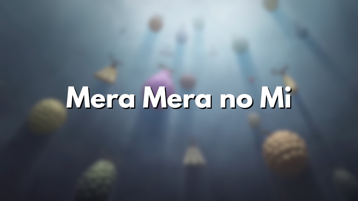 ONE PIECE© 1999 Toei Animation Co., Ltd. © Eiichiro Oda/Shueisha