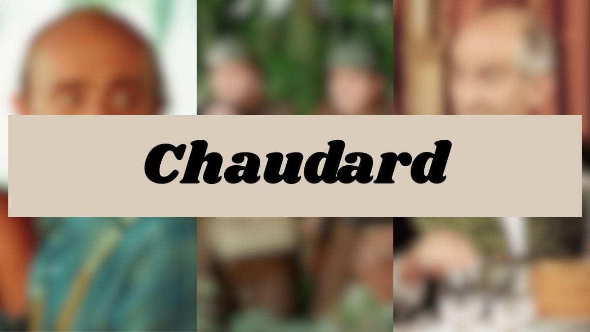 © CCFC / Gaumont / AMLF / Canva