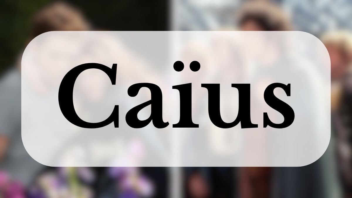 © Summit Entertainment / Metropolitan Filmexport 