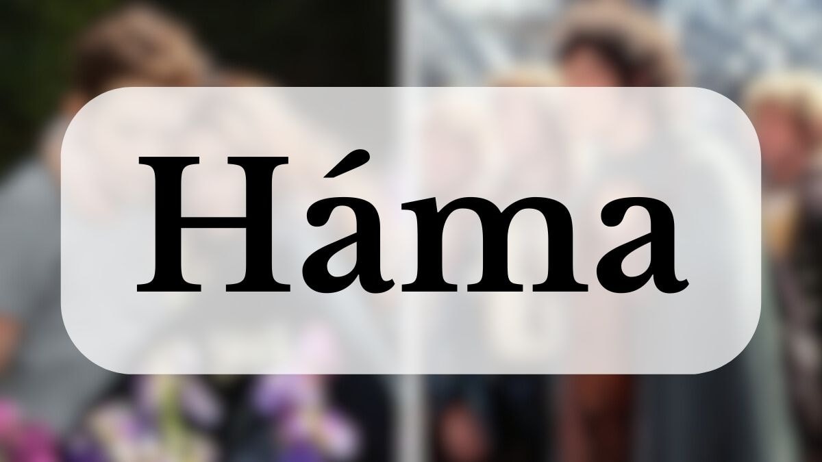 © Summit Entertainment / Metropolitan Filmexport 