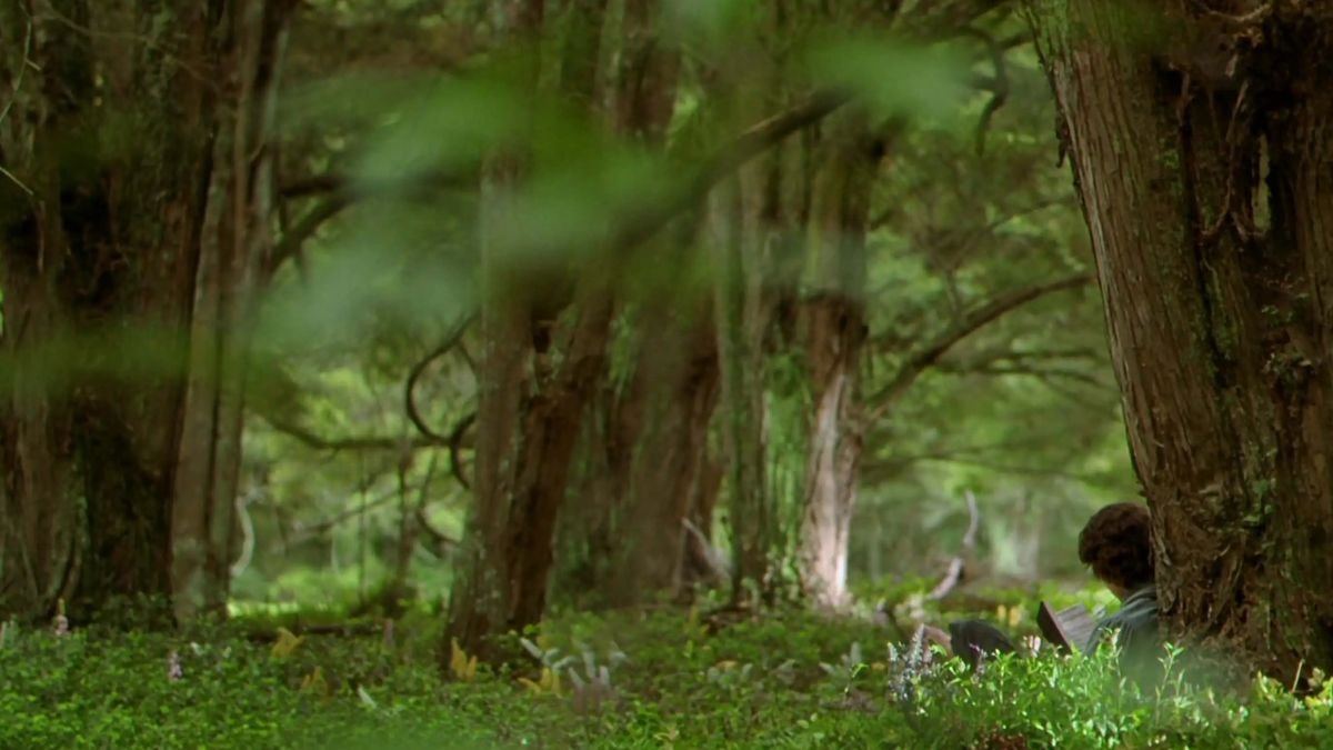 Quiz : ces 12 images viennent-elles de Harry Potter ou Le Seigneur des Anneaux ?