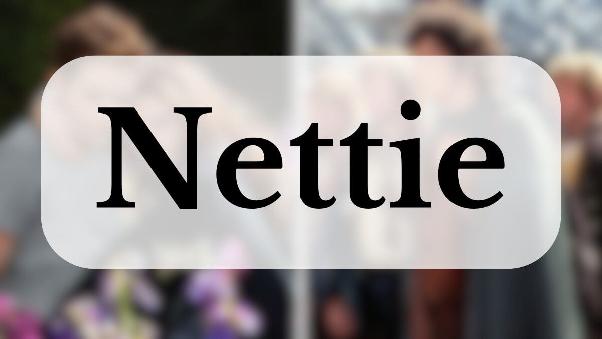 © Summit Entertainment / Metropolitan Filmexport 